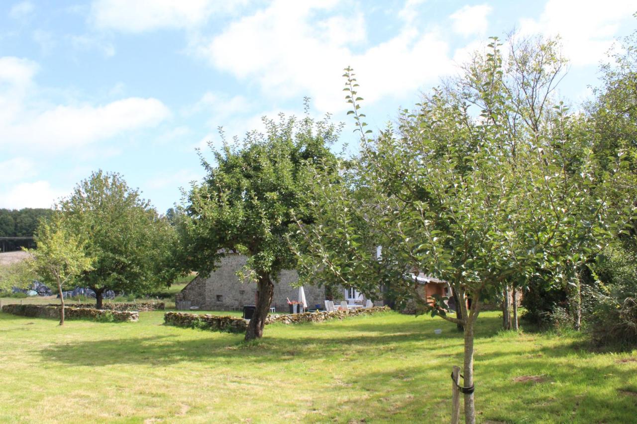 Dans La Creuse Bed & Breakfast Mourioux-Vieilleville Eksteriør bilde